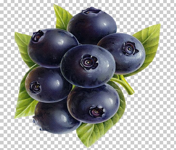 Blueberry Bilberry Antioxidant Health Dietary Supplement PNG, Clipart, Antioxidant, Auglis, Berry, Bilberry, Blueberry Free PNG Download