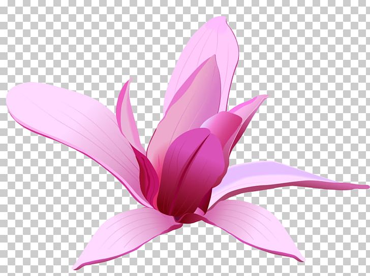 Flower Art PNG, Clipart, Aquatic Plant, Art, Computer Icons, Floral Design, Flower Free PNG Download