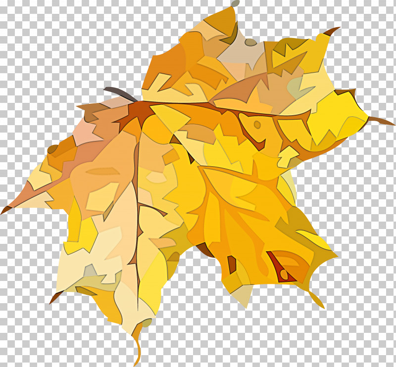Autumn Leaf Yellow Leaf Leaf PNG, Clipart, Autumn, Autumn Leaf, Beech, Black Maple, Deciduous Free PNG Download