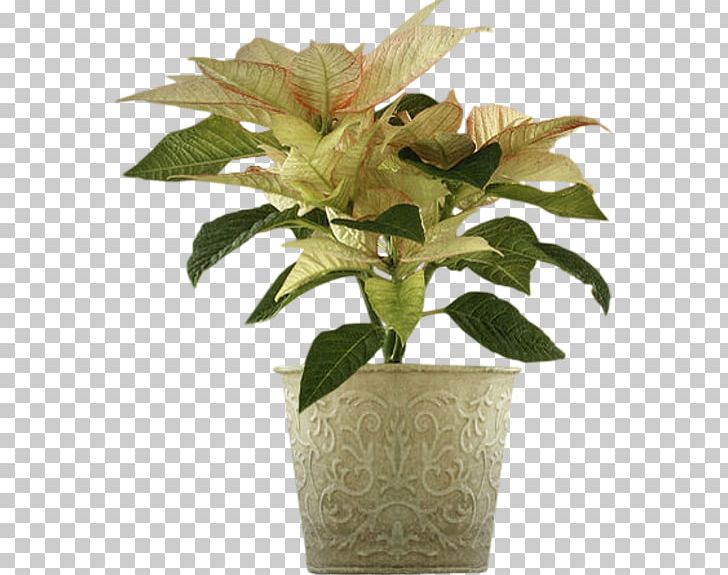 Flowerpot Vase Flower Bouquet PNG, Clipart, Advertising, Evergreen, Flower, Flower Bouquet, Flowerpot Free PNG Download