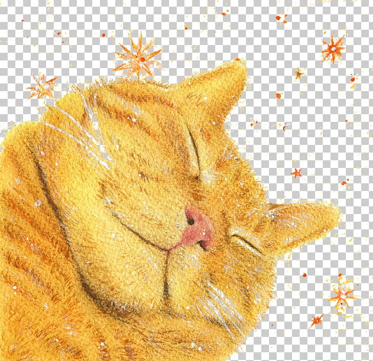 Kitten Whiskers Tabby Cat PNG, Clipart, Adobe Illustrator, Animals, Black Cat, Carnivoran, Cartoon Cat Free PNG Download