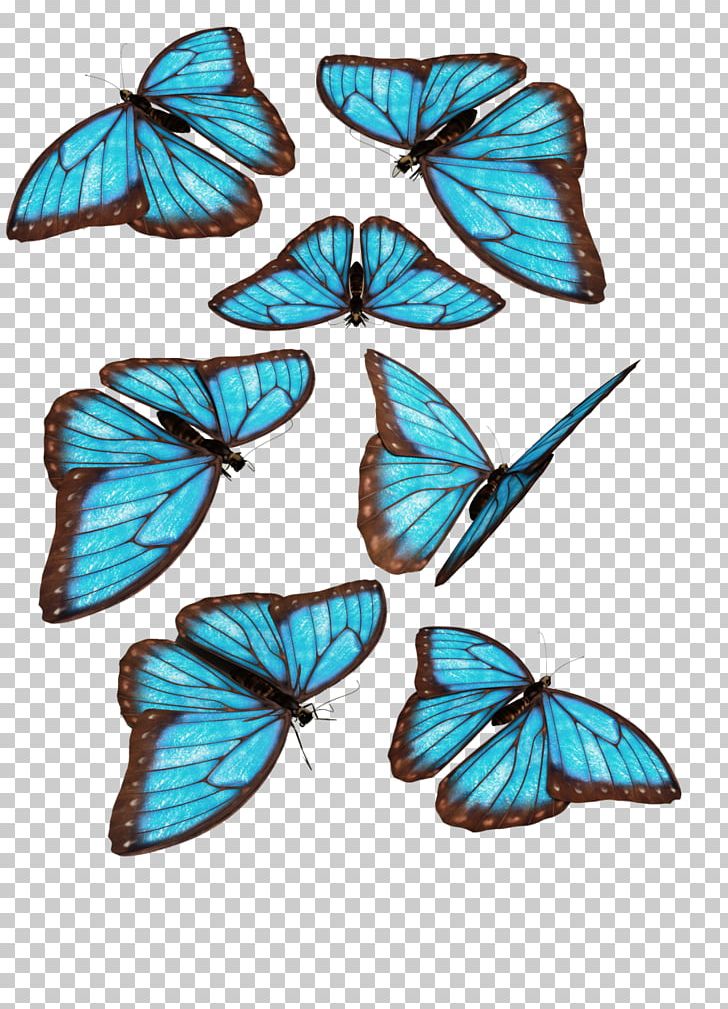Monarch Butterfly Morpho Menelaus Blue PNG, Clipart, Blue, Brush Footed Butterfly, Butterfly, Color, Desktop Wallpaper Free PNG Download