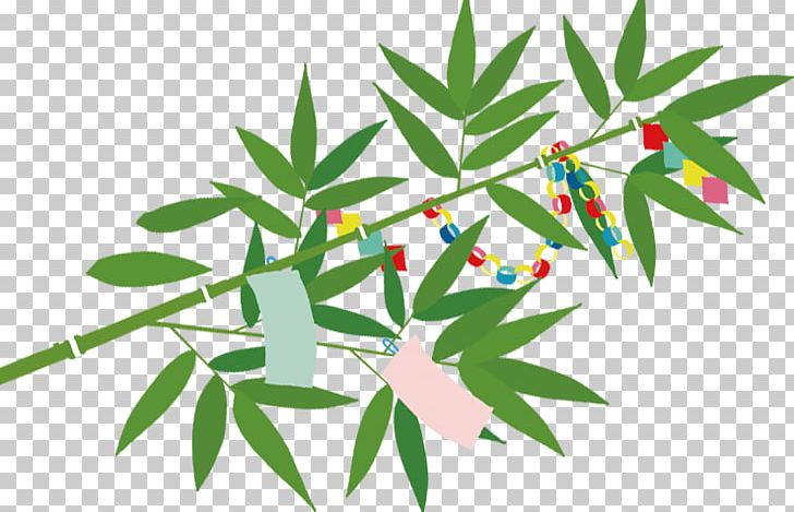 Tanabata Israel Kimono Origami Holiday PNG, Clipart, Branch, Ceremony, Flora, Grass, Grasses Free PNG Download