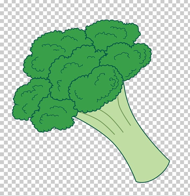 Broccoli Slaw Vegetable PNG, Clipart, Broccoli, Broccoli Cliparts, Broccolini, Broccoli Slaw, Broccoli Sprouts Free PNG Download