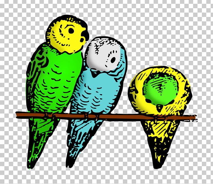 Budgerigar Bird Cockatiel Parakeet PNG, Clipart, Animal, Animals, Beak, Bird, Budgerigar Free PNG Download