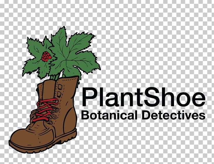 Detective Plant Botany Leaf PNG, Clipart, Botany, Color, Detective, Flowerpot, Food Free PNG Download