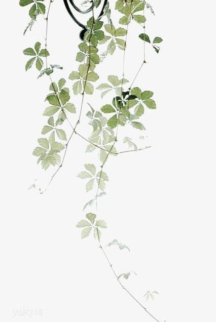 Drawing Plant Leaves PNG, Clipart, Cartoon, Drawing Clipart, Green, Hand, Hand Painted Free PNG Download