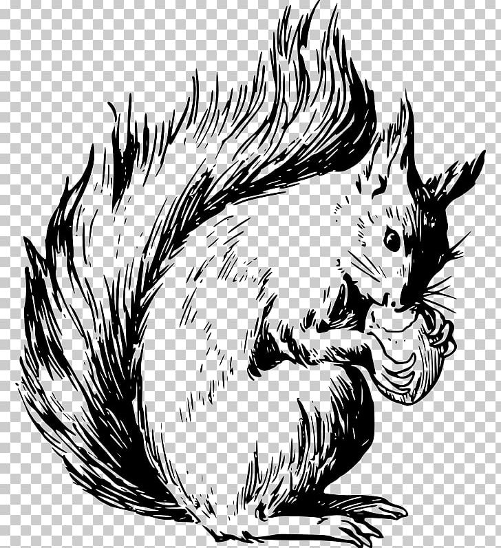Eastern Gray Squirrel Tree Squirrel American Red Squirrel Rodent PNG, Clipart, Animals, Bird, Black And White, California Ground Squirrel, Carnivoran Free PNG Download