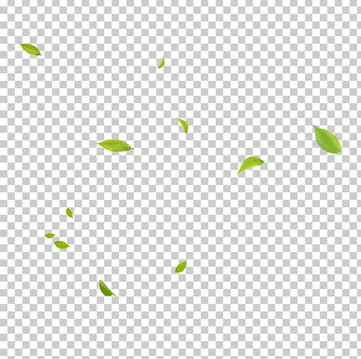 Green Area Angle Pattern PNG, Clipart, Angle, Area, Autumn Leaves, Banana Leaves, Fall Leaves Free PNG Download