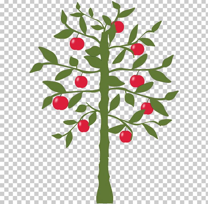Lemon Fruit Tree Apple Citrus × Sinensis PNG, Clipart, Apple, Banana, Branch, Citrus, Citrus Sinensis Free PNG Download
