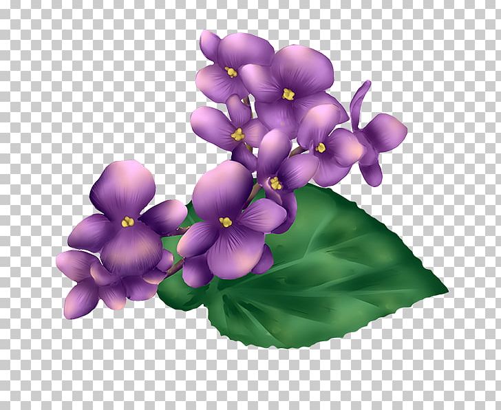 Violet Petal Herbaceous Plant PNG, Clipart, Chickadee, Flower, Flowering Plant, Gift, Herbaceous Plant Free PNG Download