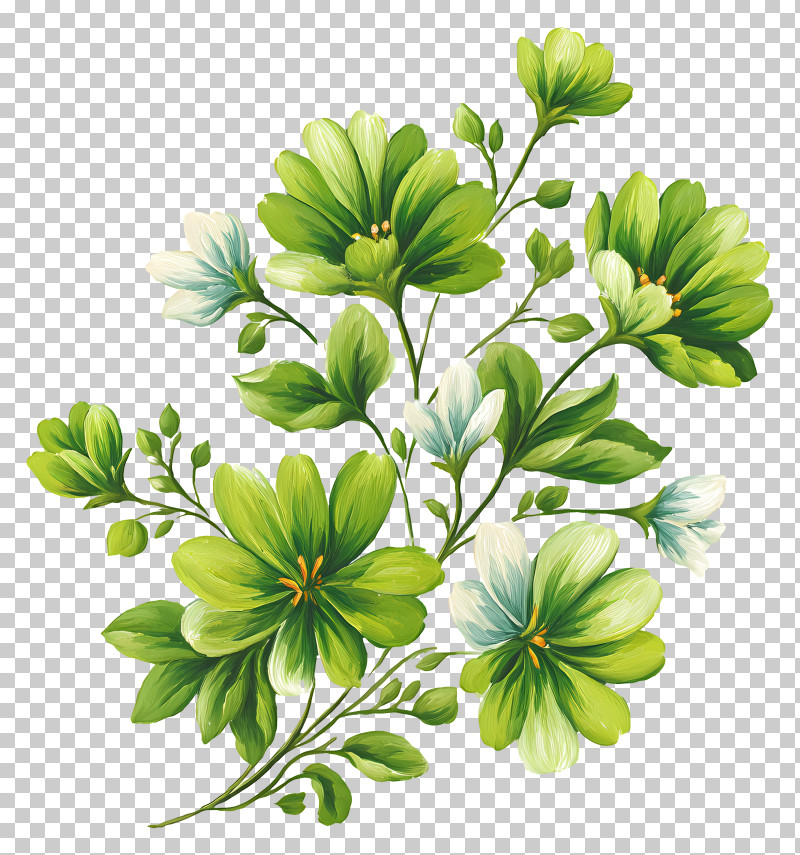 Green Flowers Bouquet - Green And White Floral Arrangement PNG