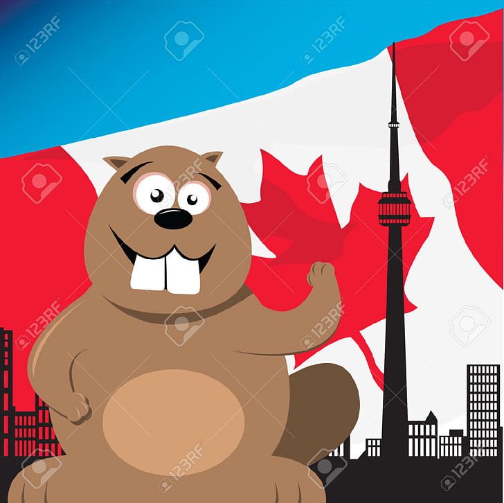 Canada North American Beaver PNG, Clipart, Animals, Art, Bear, Beaver, Canada Free PNG Download