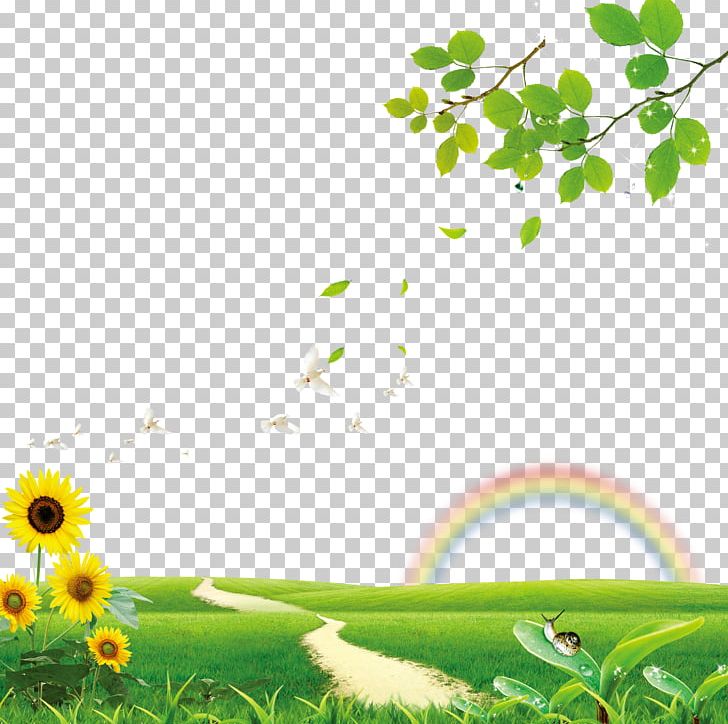 Common Sunflower PNG, Clipart, Atmosphere, Branch, Computer Wallpaper, Data, Education Free PNG Download