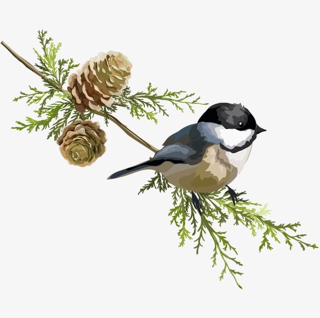 Pine Trees And Birds PNG, Clipart, Animal, Animals In The Wild, Backgrounds, Beak, Beauty Free PNG Download