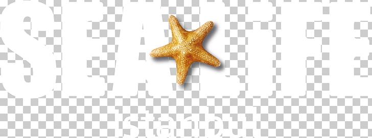 Starfish Body Jewellery PNG, Clipart, Animals, Body Jewellery, Body Jewelry, Istanbul, Jewellery Free PNG Download