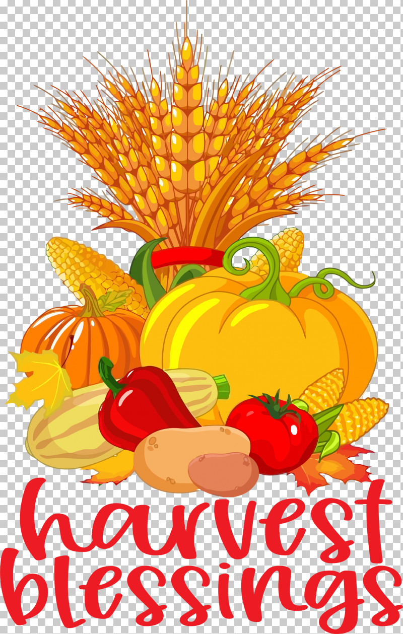 Harvest Blessings Thanksgiving Autumn PNG, Clipart, Autumn, Festival, Harvest, Harvest Blessings, Harvest Festival Free PNG Download