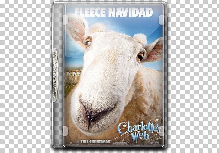 Charlotte A. Cavatica Sheep Filmstarts Photography PNG, Clipart,  Free PNG Download