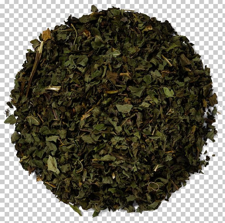 Nilgiri Tea Tieguanyin Leaf Tea Plant PNG, Clipart, Assam Tea, Bancha, Biluochun, Ceylon Tea, Chun Mee Tea Free PNG Download