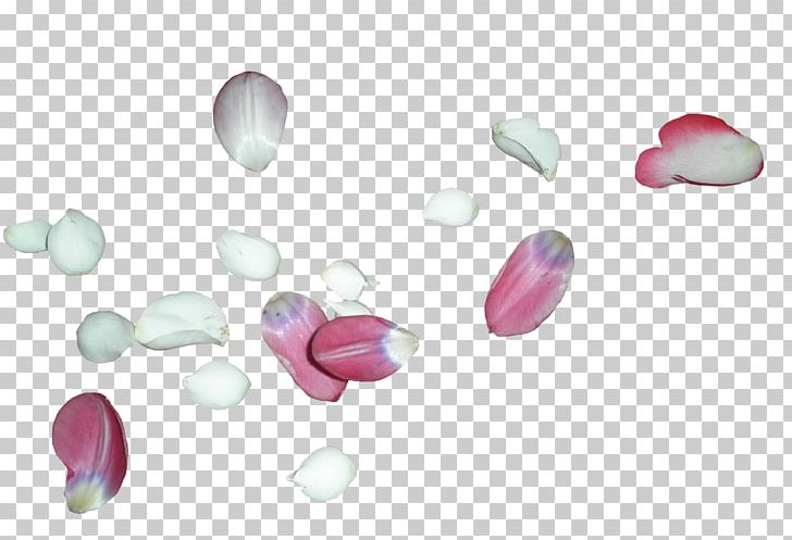 Petal Rose Flower White PNG, Clipart, Bead, Color, Flower, Flower Bouquet, Flowers Free PNG Download