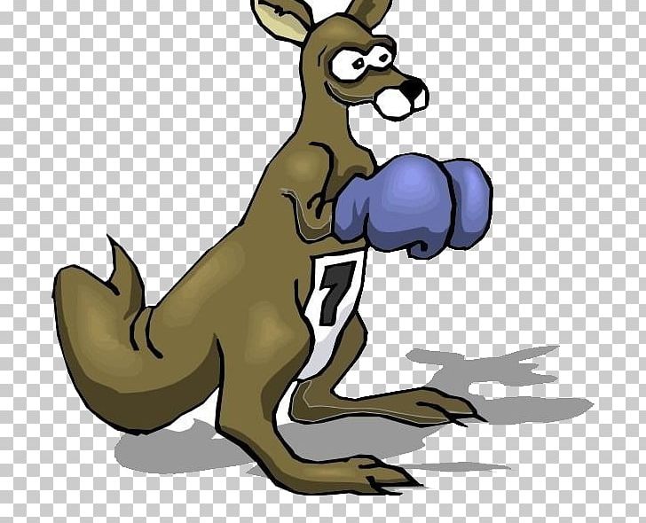 T-shirt Boxing Kangaroo Boxing Glove PNG, Clipart, Animals, Boxing, Boxing Glove, Cartoon, Cartoon Kangaroo Free PNG Download