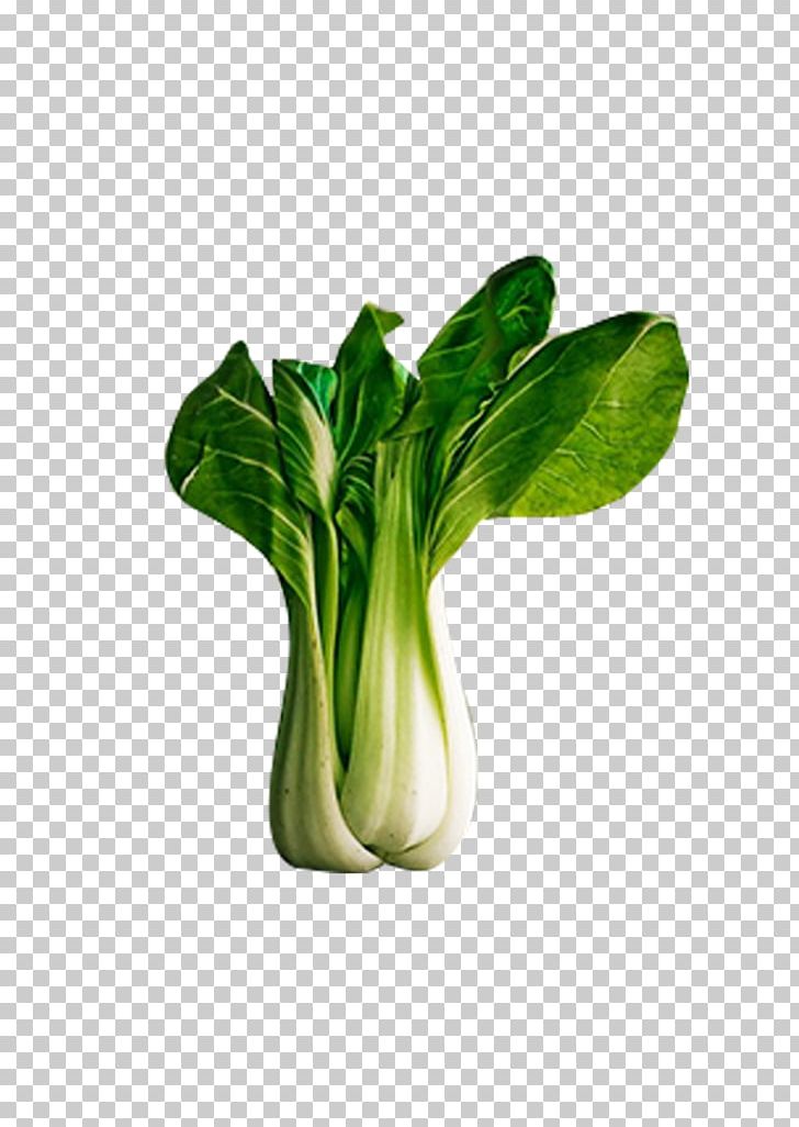 Vegetable Food Napa Cabbage Bok Choy Eating PNG, Clipart, Cauliflower, Celery, Chard, Chinese Cabbage, Choy Sum Free PNG Download