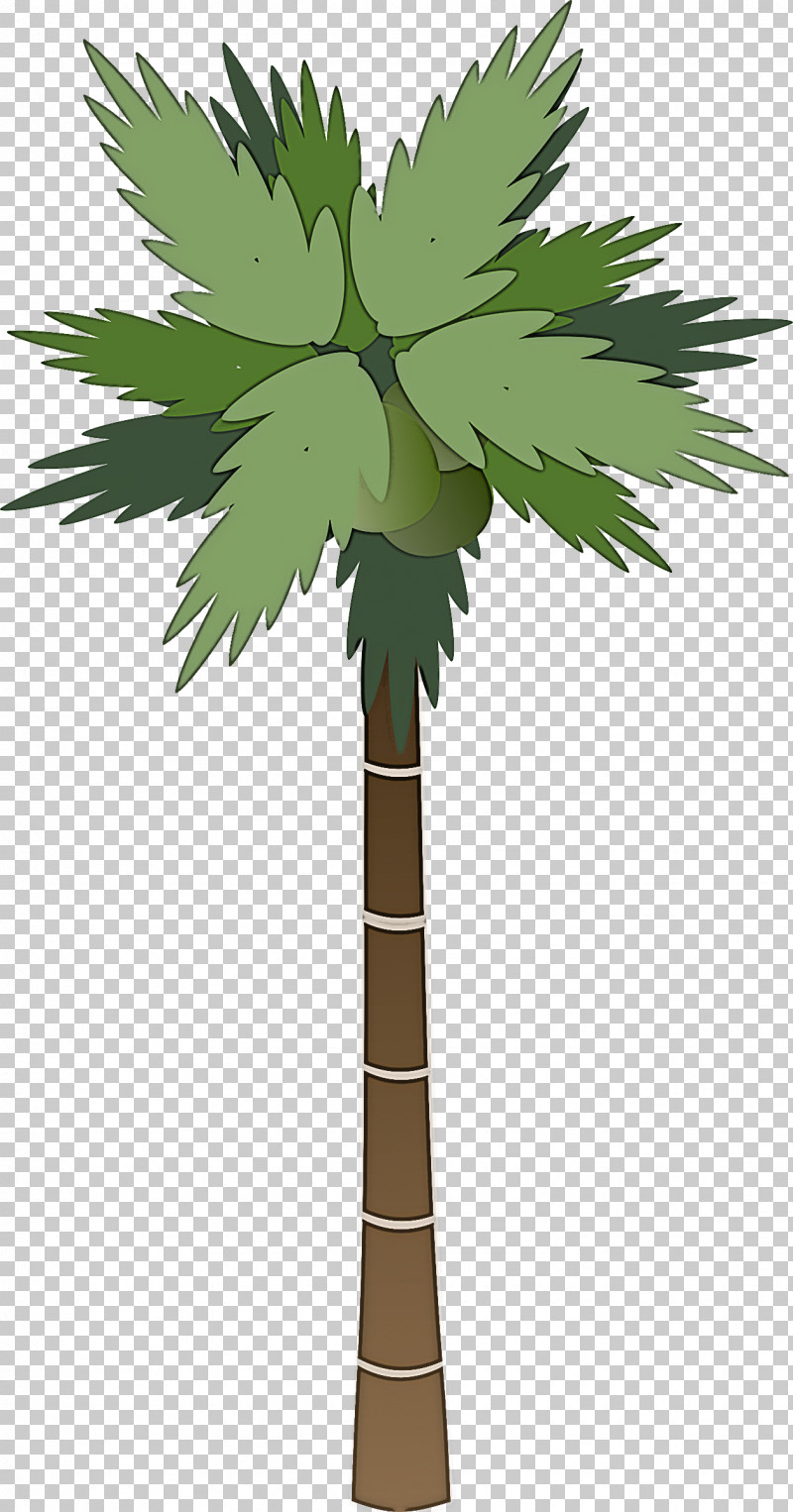 Palm Trees PNG, Clipart, Cartoon, Drawing, Logo, Palm Trees, Royaltyfree Free PNG Download