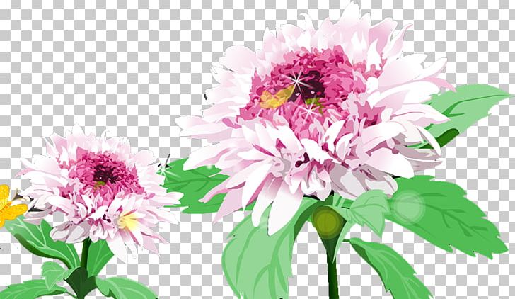 Chrysanthemum Floral Design SWF PNG, Clipart, Annual Plant, Beautiful, Chrysanthemum Chrysanthemum, Chrysanthemums, Chrysanthemum Tea Free PNG Download