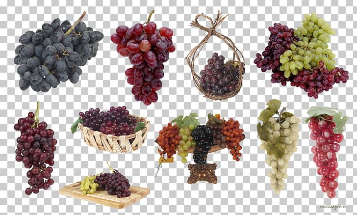 Grapevines PNG, Clipart, Berry, Blackberry, Drawing, Flowering Plant, Food Free PNG Download