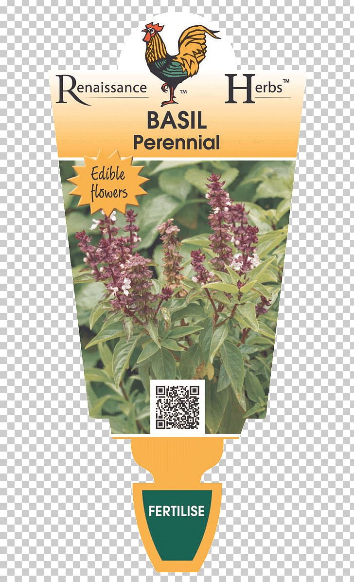 Lavender Herbalism Laser Pollinator PNG, Clipart, Flora, Flower, Herb, Herbal, Herbalism Free PNG Download