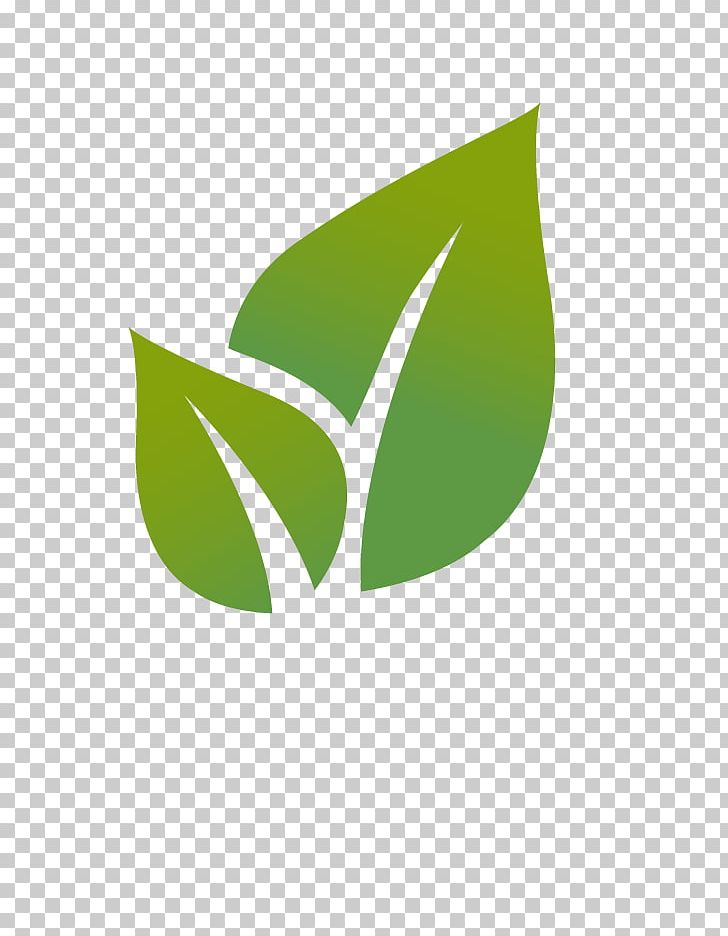 Leaf Euclidean Illustration PNG, Clipart, Brand, Computer Icons, Environment, Euclidean Vector, Free Free PNG Download