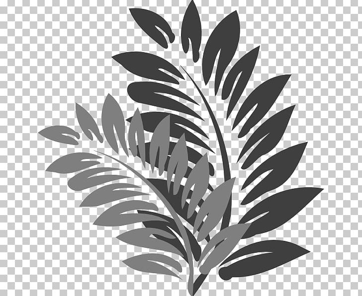 Leaf Shoeblackplant Flower Portable Network Graphics PNG, Clipart, Black And White, Branch, Clip, Erika, Flora Free PNG Download