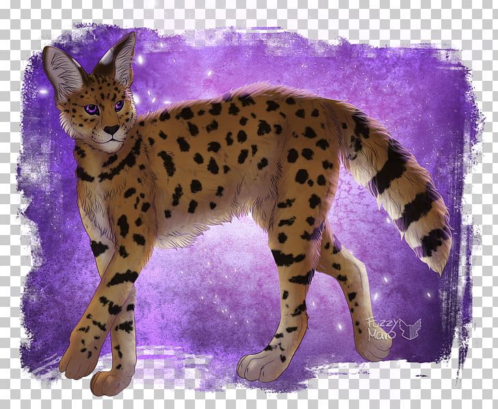 Whiskers Cheetah Wildcat Terrestrial Animal PNG, Clipart, Animal, Animals, Big Cat, Big Cats, Carnivoran Free PNG Download