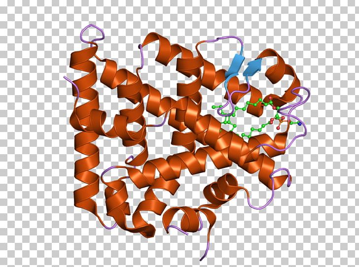 Steroidogenic Factor 1 Steroidogenic Acute Regulatory Protein XY Gonadal Dysgenesis Steroidogenic Enzyme PNG, Clipart, Anabolic, Androgen, Bound, Ebi, Enzyme Free PNG Download