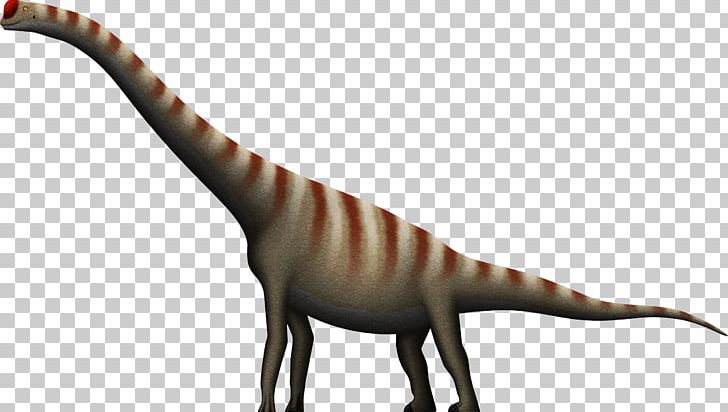 Velociraptor Brachiosaurus Daanosaurus Tyrannosaurus Allosaurus PNG, Clipart, Animal Figure, Atlasaurus, Brachiosaurus, Cedarosaurus, Daanosaurus Free PNG Download