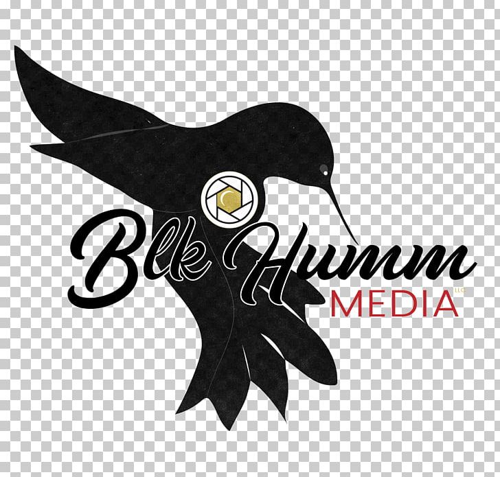 Logo Brand Designer Web Design PNG, Clipart, 80th, Anniversary, Art, Beak, Bird Free PNG Download