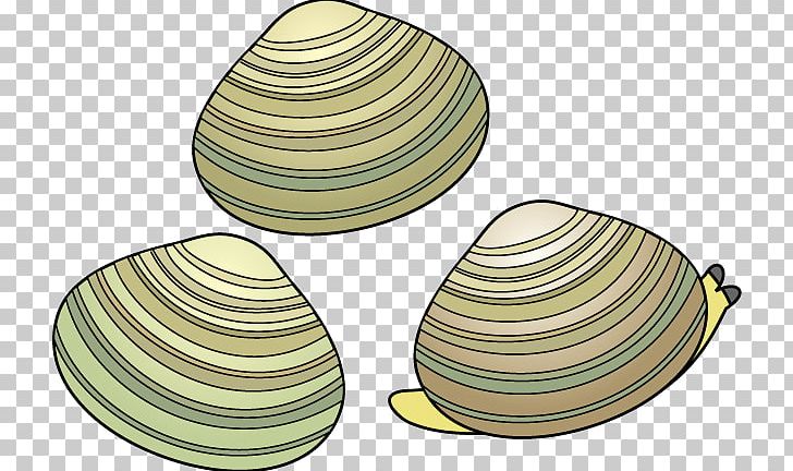 Clam Venerupis Philippinarum Veneroida Miso Soup Seashell PNG, Clipart, Circle, Clam, Clams Oysters Mussels And Scallops, Invertebrate, Line Free PNG Download