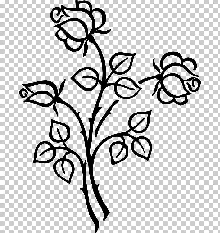 Line Art Drawing Floral Design PNG, Clipart, Art, Black, Black And White, Branch, Cartoon Free PNG Download