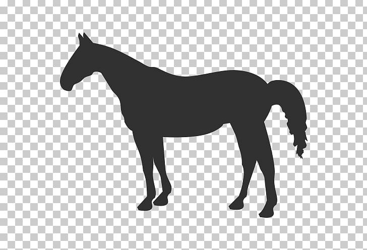 American Quarter Horse Graphics Illustration Western Pleasure PNG, Clipart, American Quarter Horse, Animals, Black, Black And White, Colt Free PNG Download