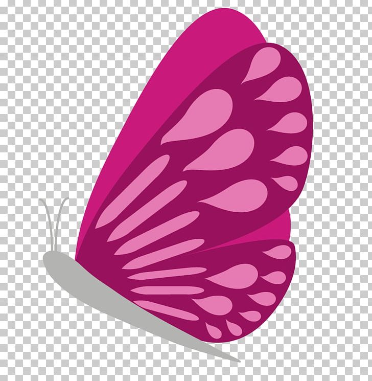Blume Flower Photography Tulip PNG, Clipart, Blog, Blume, Butterfly, Flower, Fototapet Free PNG Download