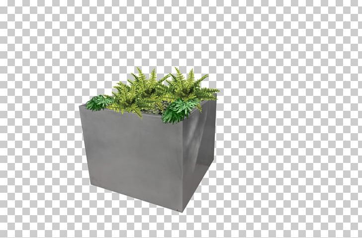 Flowerpot Plastic Rectangle Herb PNG, Clipart, Flowerpot, Grass, Herb, Others, Plant Free PNG Download
