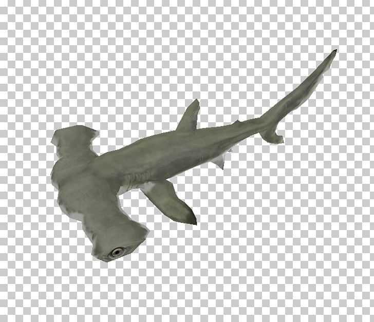 Hammerhead Shark Chondrichthyes Fish Animal Figurine PNG, Clipart, Animal, Animal Figure, Animal Figurine, Animals, Carcharhiniformes Free PNG Download