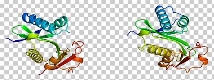 PCAF CREB-binding Protein P300-CBP Coactivator Family EP300 PNG, Clipart, 1 Cm, Acetylation, Acetyltransferase, Adenovirus Early Region 1a, Artwork Free PNG Download