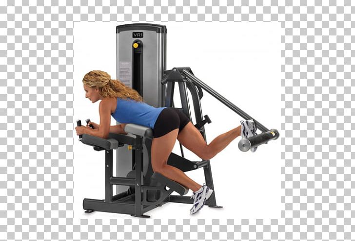 Exercise Machine Exercise Equipment Fitness Centre Gluteus Maximus Muscle PNG, Clipart, Angle, Arm, Bench, Elliptical Trainers, Exercise Free PNG Download