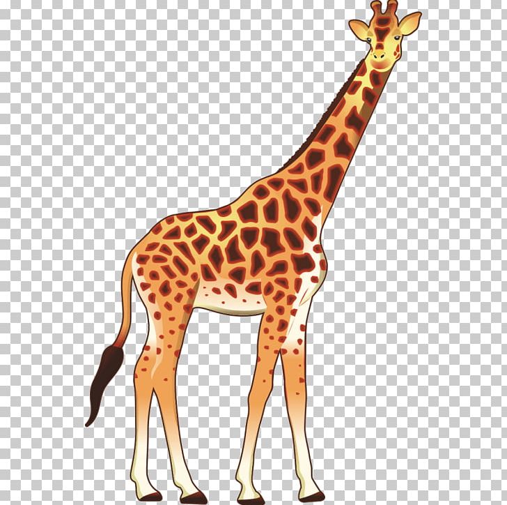 Giraffe Okapi Stock Photography PNG, Clipart, Animal, Animal Figure, Animals, Clip Art, Craft Magnets Free PNG Download