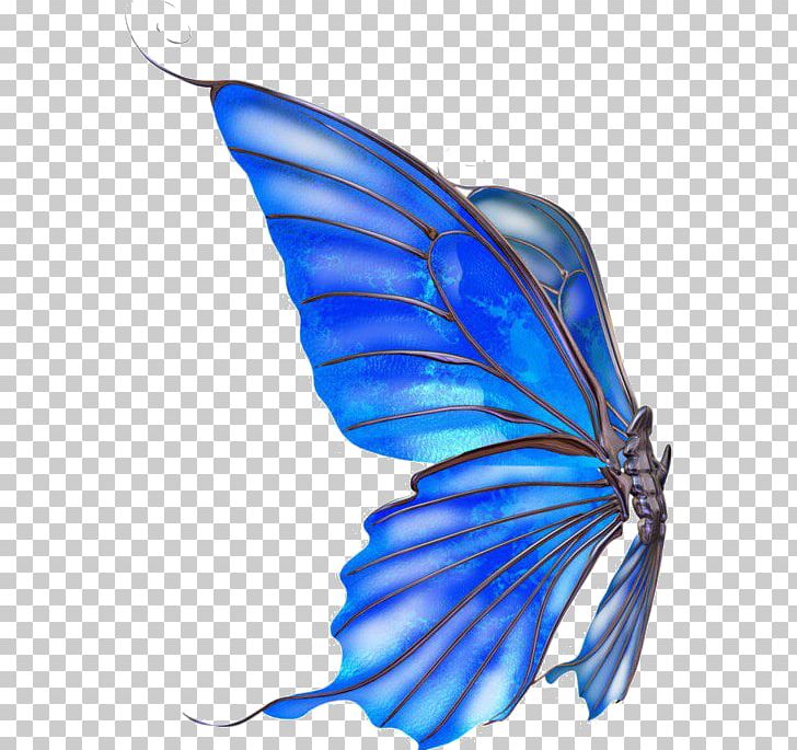 Monarch Butterfly Jellyfish Blue PNG, Clipart, Animal, Blue, Blue Butterfly, Brush Footed Butterfly, Butterflies And Moths Free PNG Download