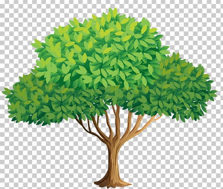 Tree Stock Photography PNG, Clipart, Child, Flowerpot, Fotosearch, Grass, Nature Free PNG Download