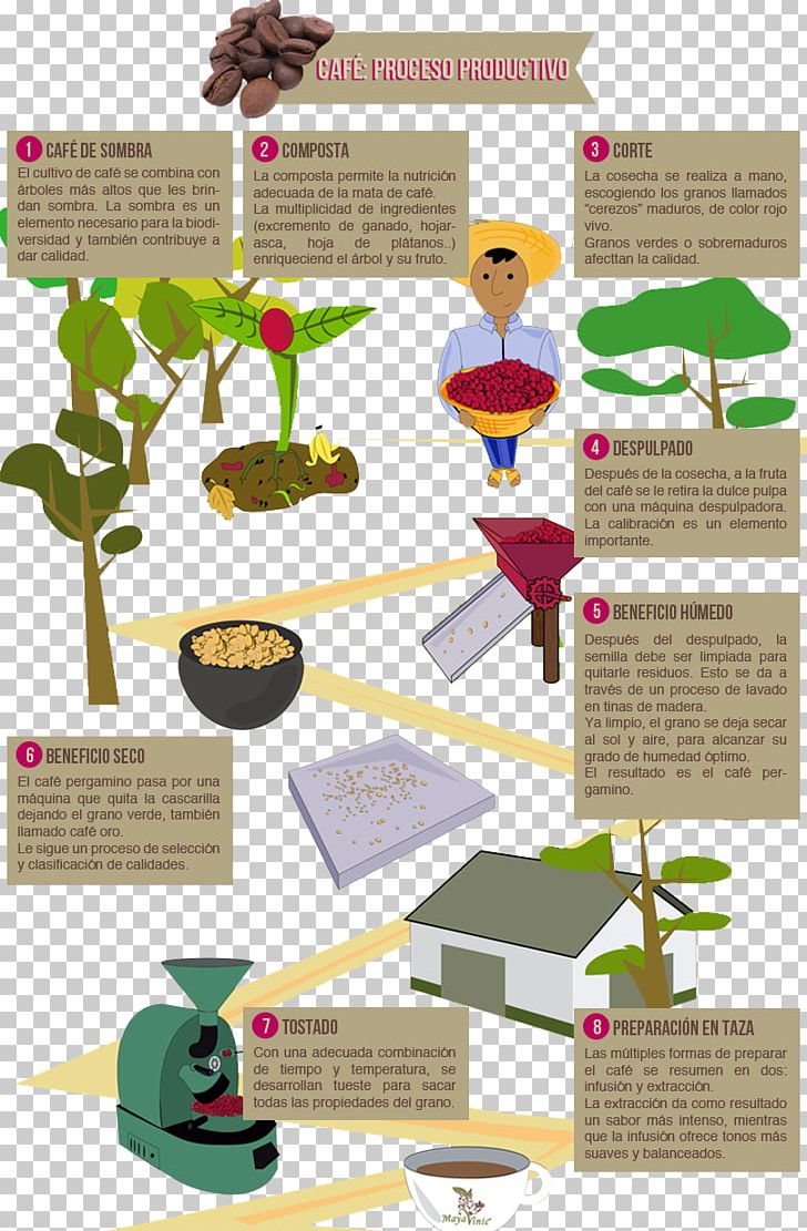 Coffee Cafe Commodity Chain Industrial Processes Production PNG, Clipart, Cafe, Coffee, Commodity Chain, Diagram, Document Free PNG Download