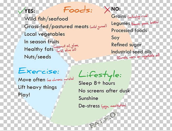 Line Font PNG, Clipart, Area, Line, Paleolithic Diet, Text Free PNG Download