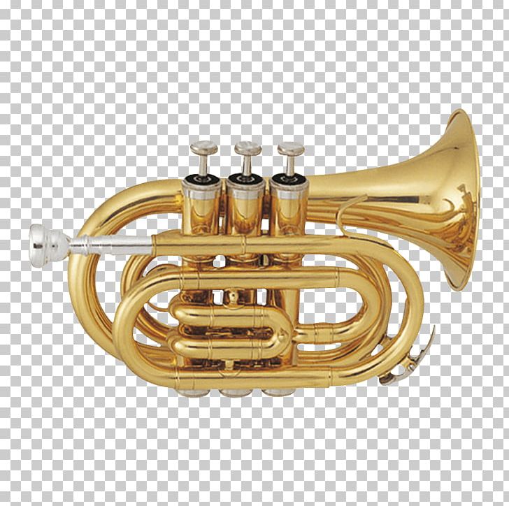 Pocket Trumpet Cornet Wind Instrument Brass Instruments PNG, Clipart, Alto Horn, Baritone Horn, Brass, Brass Instrument, Brass Instruments Free PNG Download